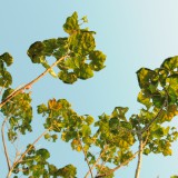 夏が終わる。。のか?
