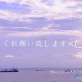 宮古島に行って参ります!
