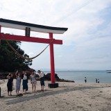 今日は鹿児島へ(*^^)v
