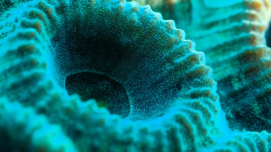 P9240272