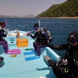 風ーつよーしーファン♪