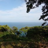 体験:シュノーケリング:大島CAMP🌳✨
