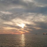 6月はライセンス&潜水へ(^^♪