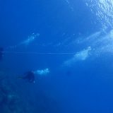 6月ラスト体験ダイビングや黒潮ファンダイブ✨