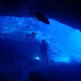 南大東島02🐠最高級ブルーと白の造形✨