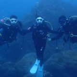 フランス・東京・宮崎✨