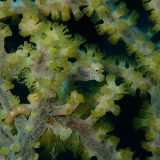 第壱回合同探索(;'∀')✨