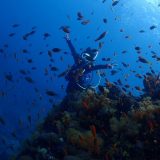 初ファンダイブ(*´▽｀*)✨✨＆鬼Week✨